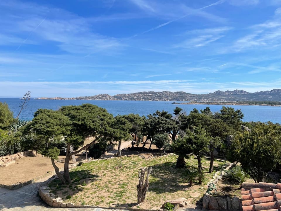 Garden, Sea view