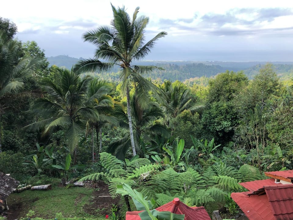 Natural landscape, Garden, Garden view