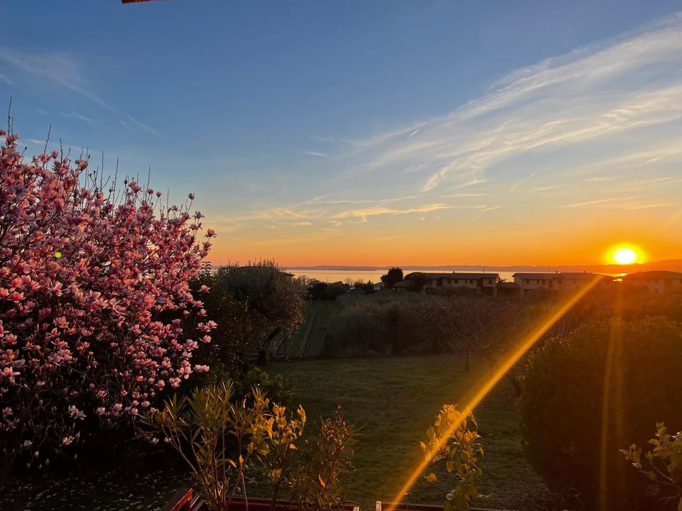 Spring, Natural landscape, Lake view, Sunset