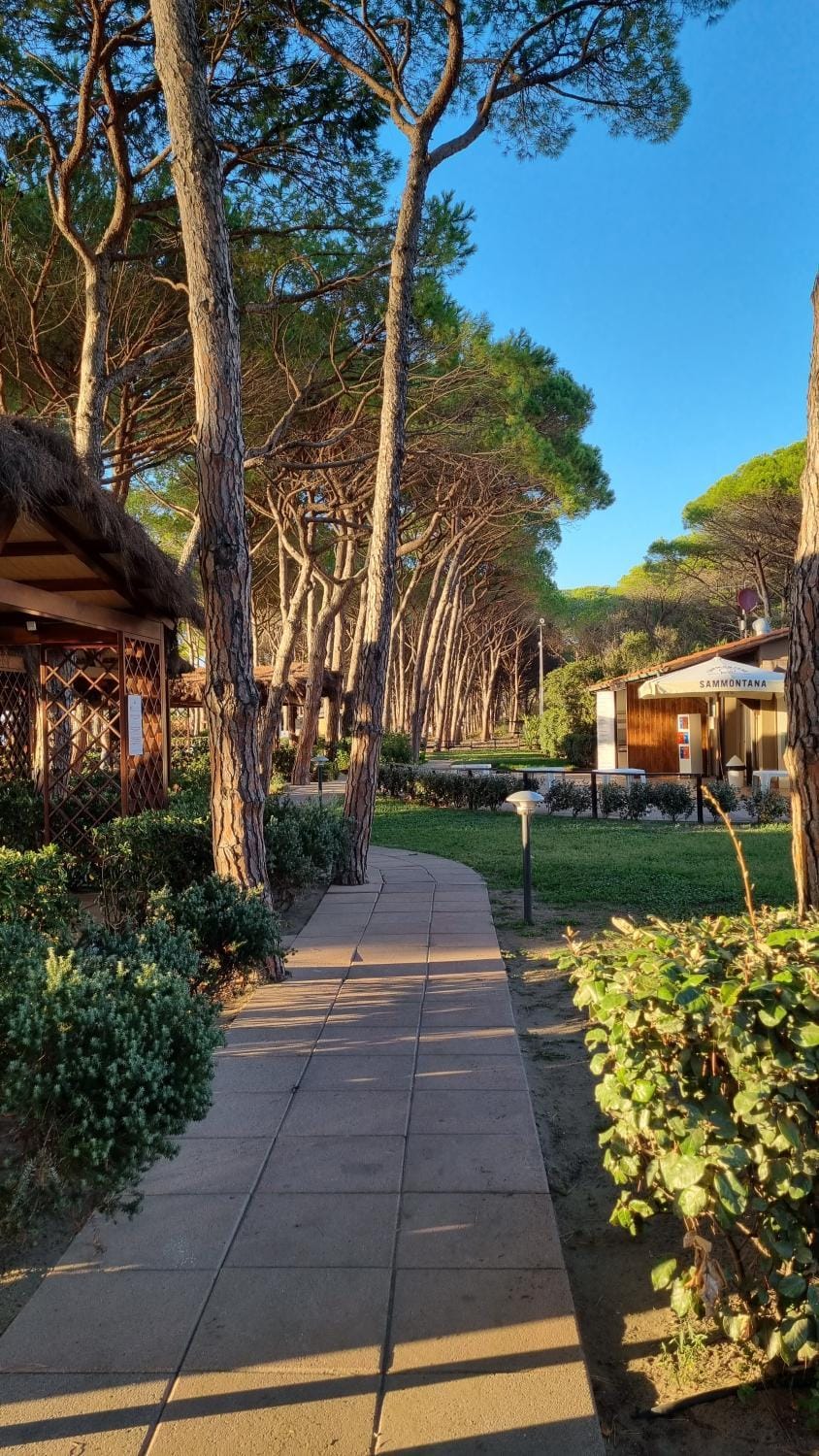 Appartamento Punta Ala Apartment in Punta Ala