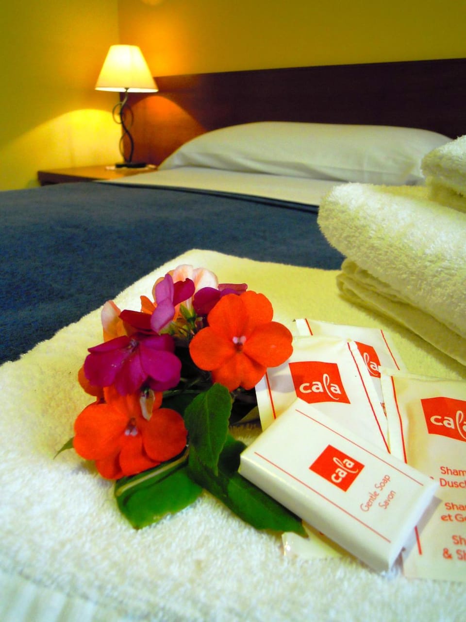 Spring, Night, Bedroom
