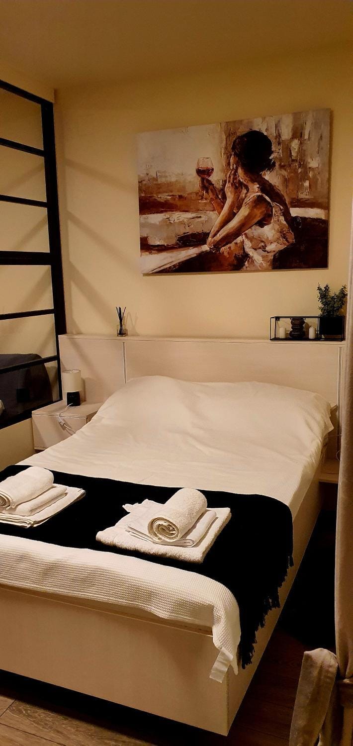 CBT Apartament Apartment in Timisoara