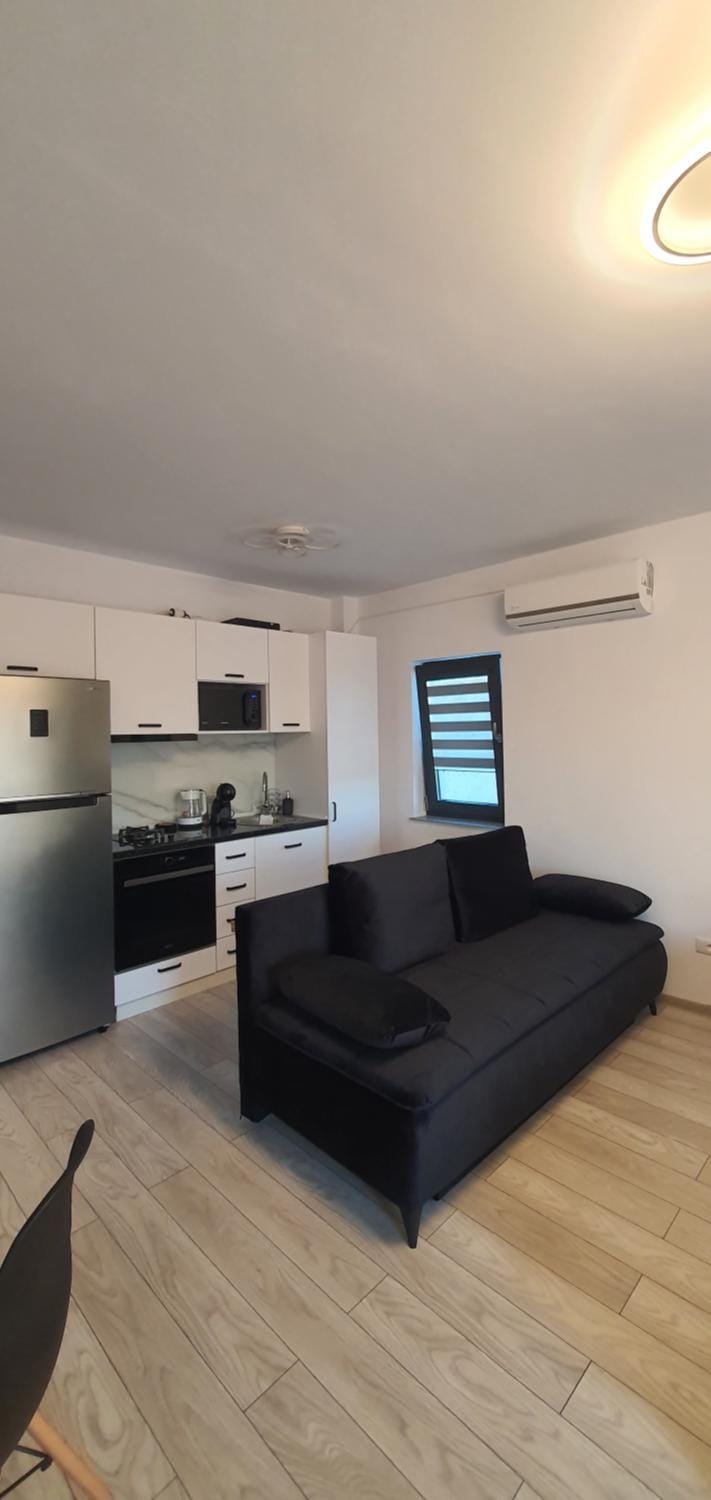 Studio Ale Apartment in Constanța County