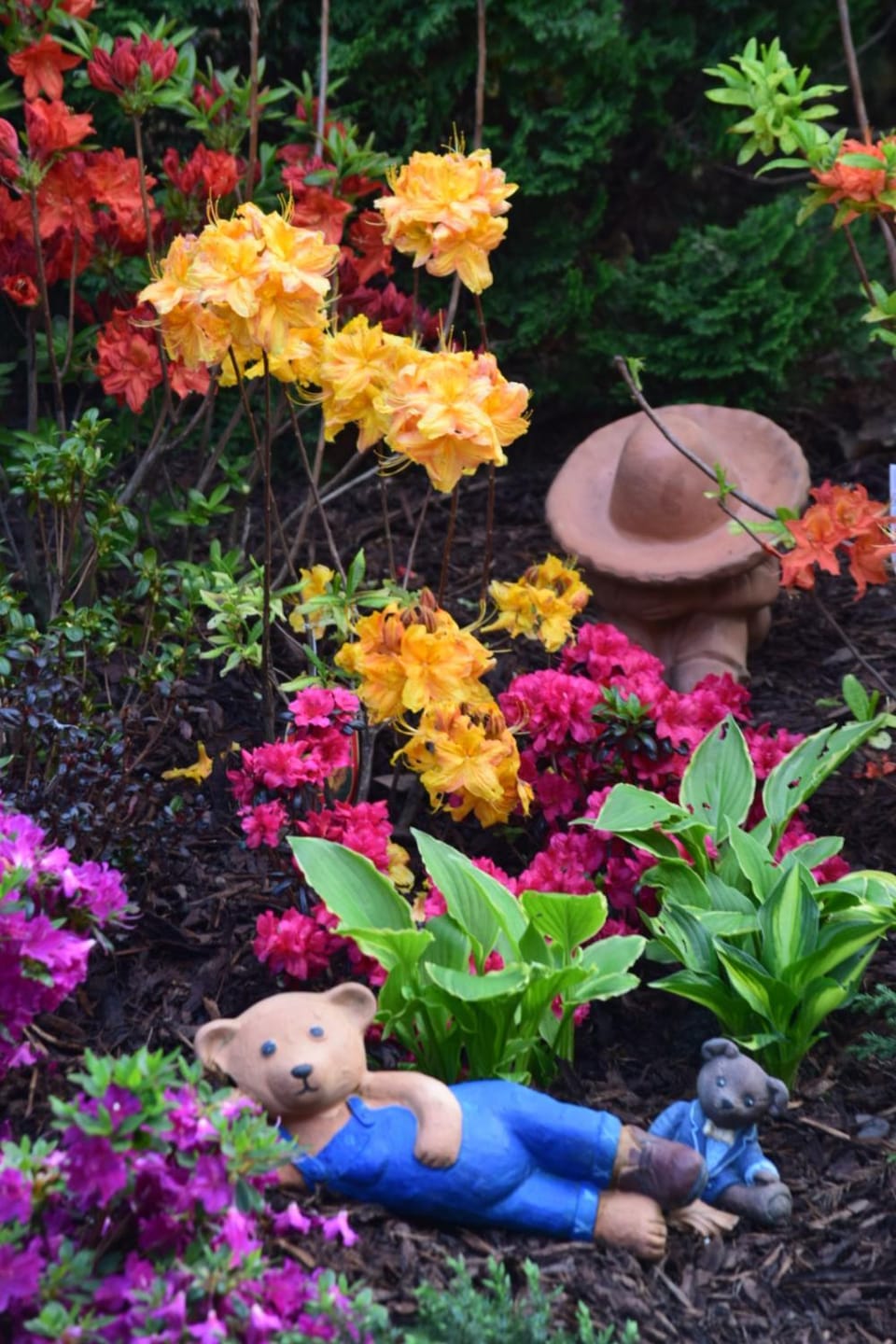 Spring, Garden, Garden view