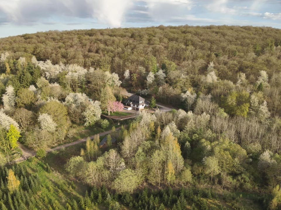 Totale Ruhe im Wald Vacation rental in Cochem-Zell