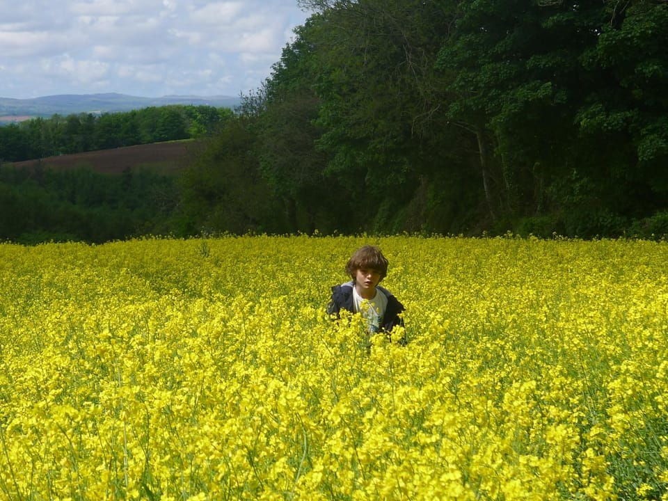 Spring, Natural landscape