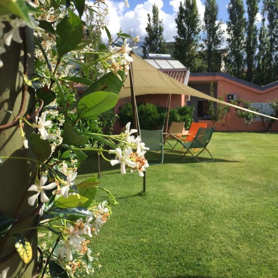 Garden, Garden view