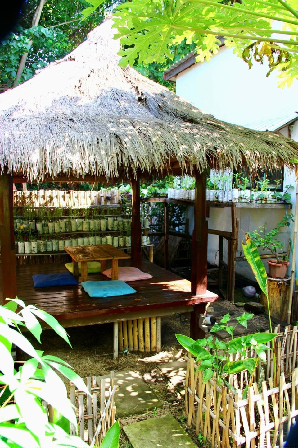 Follow The Rabbit Bungalow Bed and Breakfast in Pemenang