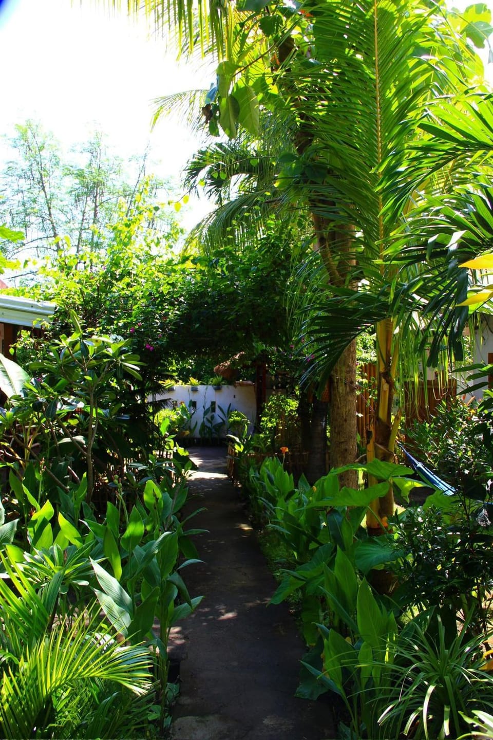 Follow The Rabbit Bungalow Bed and Breakfast in Pemenang