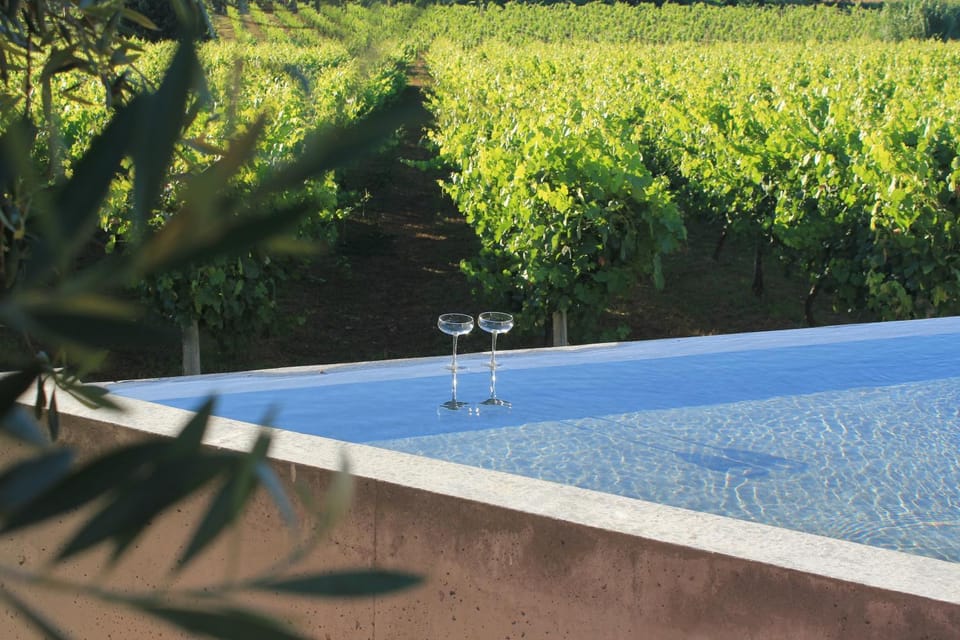 Day, Garden, Pool view, Swimming pool