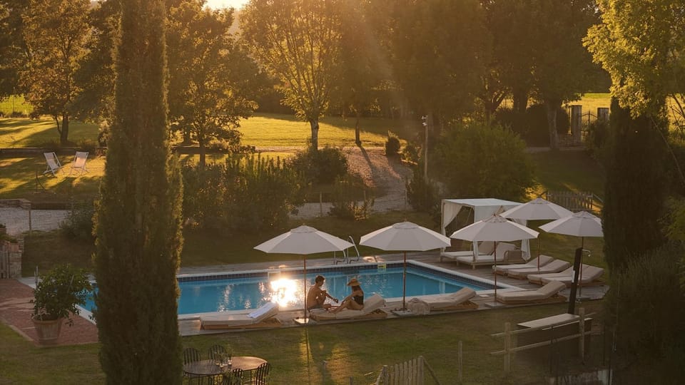 Garden view, Pool view, Swimming pool, group of guests, sunbed