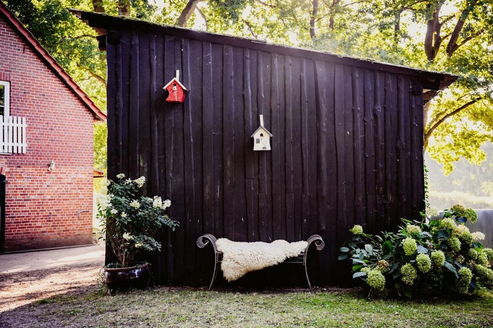 Spring, Garden