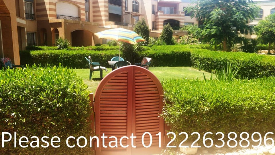 Patio, Property logo or sign, Garden