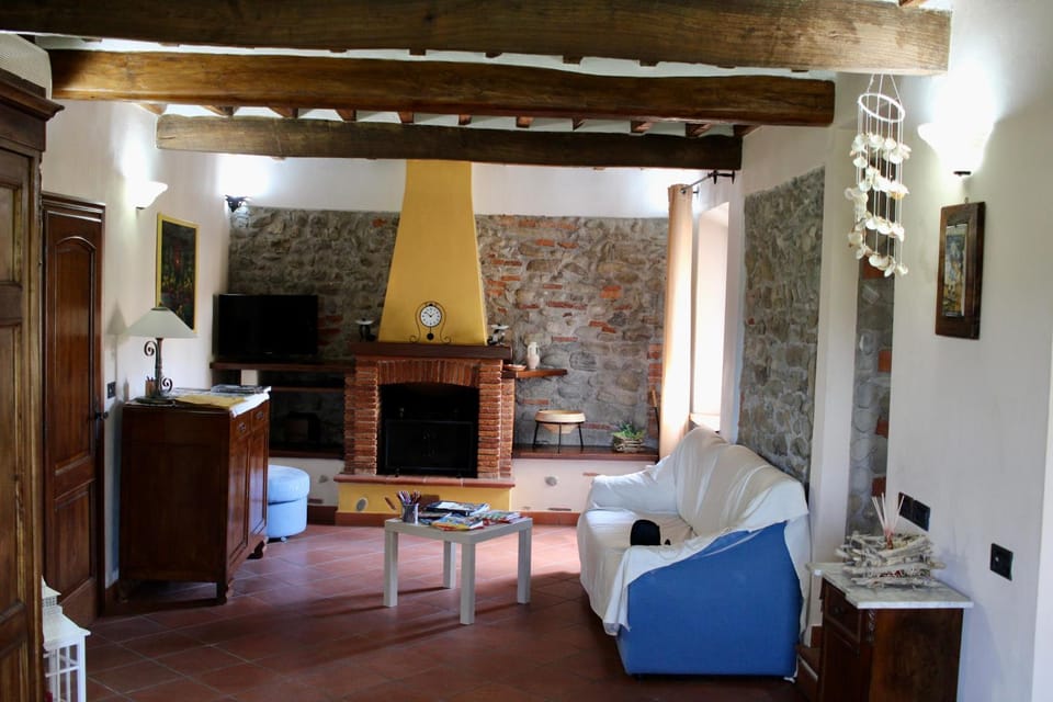 Lounge or bar, fireplace