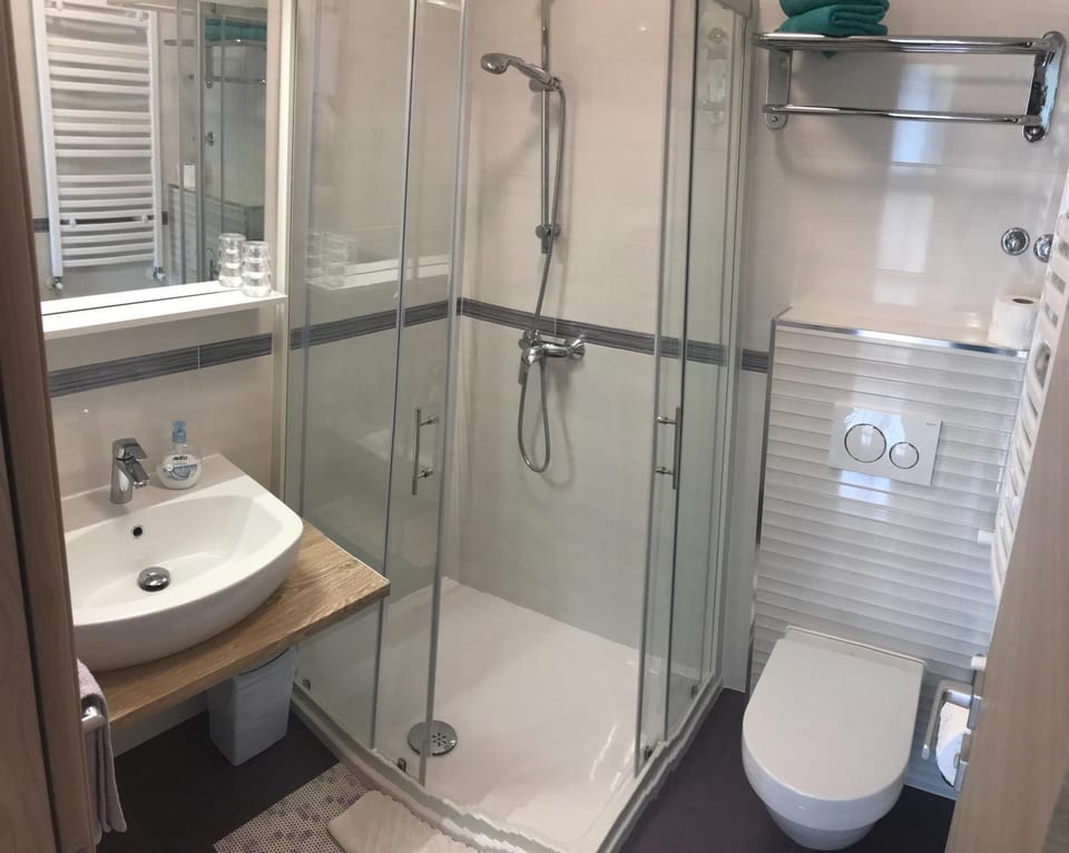 Shower, Toilet, Bathroom, towels