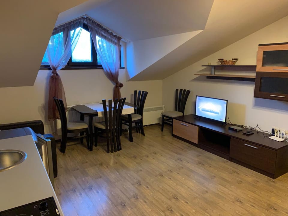 Communal lounge/ TV room, TV and multimedia, Kitchen or kitchenette, Living room, Seating area, Dining area, Evening entertainment
