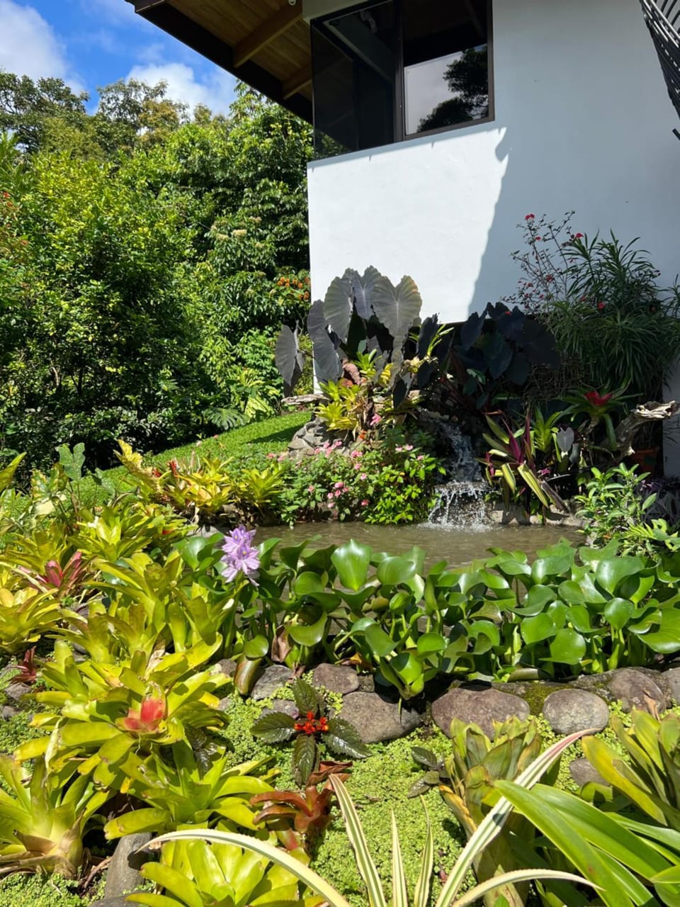 Garden, Garden view