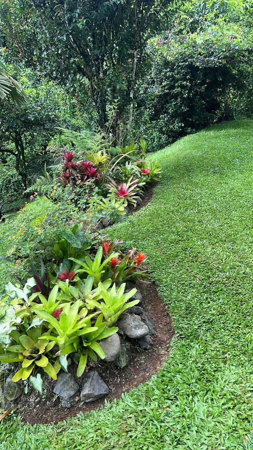Natural landscape, Garden, Garden view
