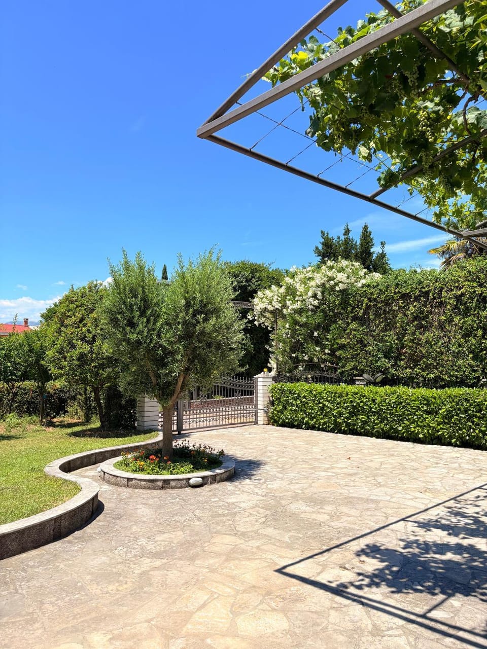 Day, Garden view