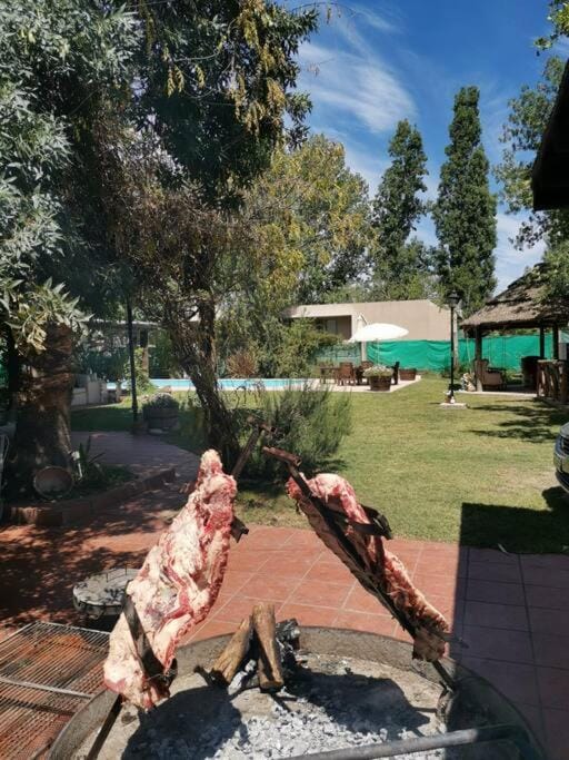 ENTRE VIÑAS Apartment in Mendoza Province Province
