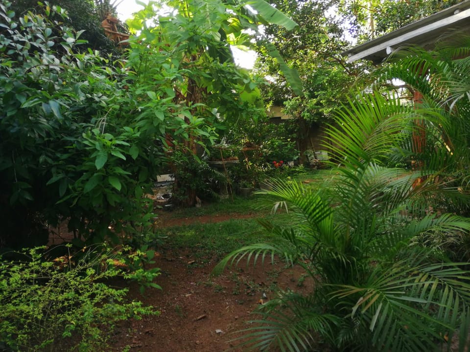 Udara's Colombo Rooms Bed and Breakfast in Western Province