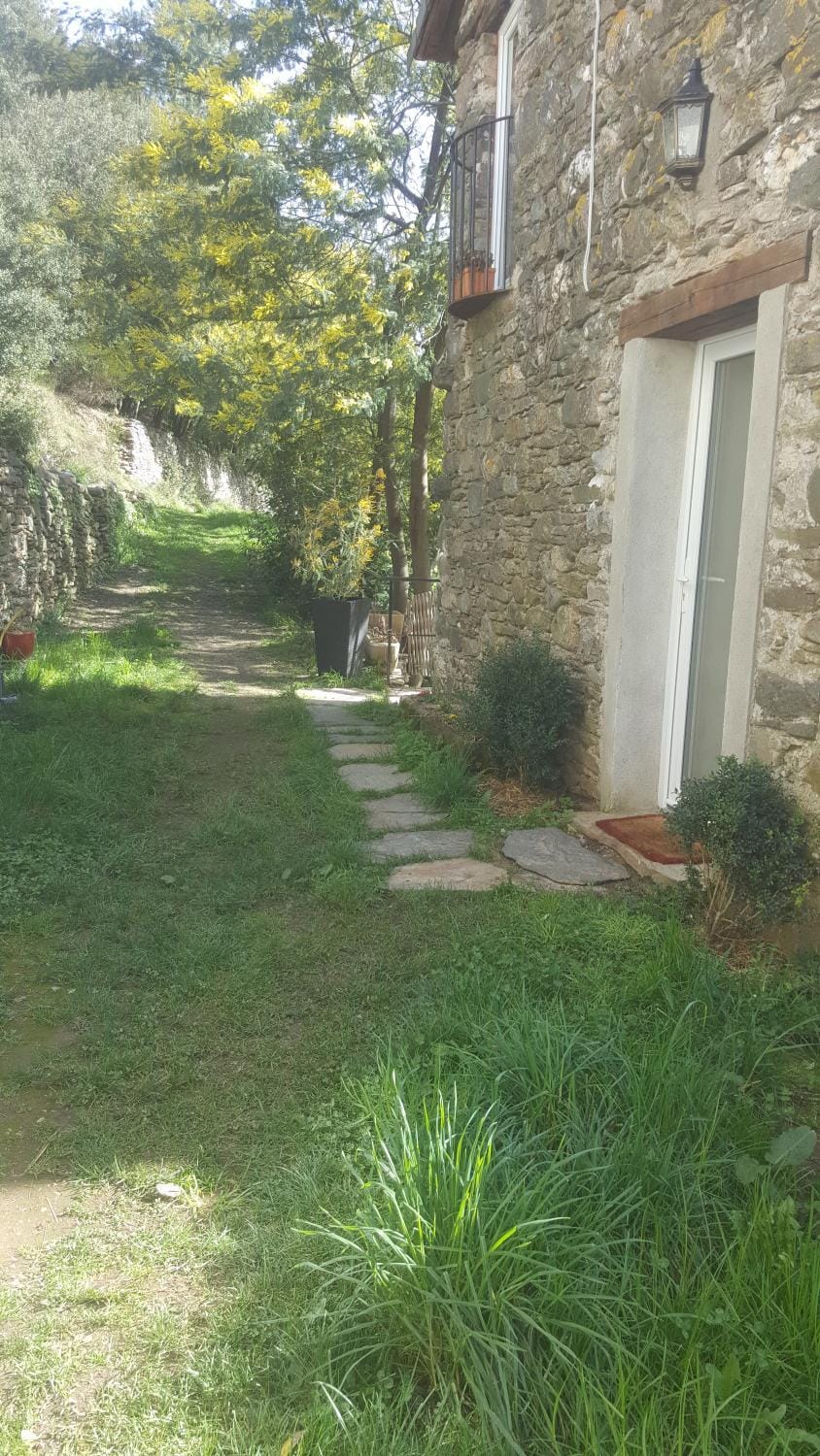 Facade/entrance, Garden