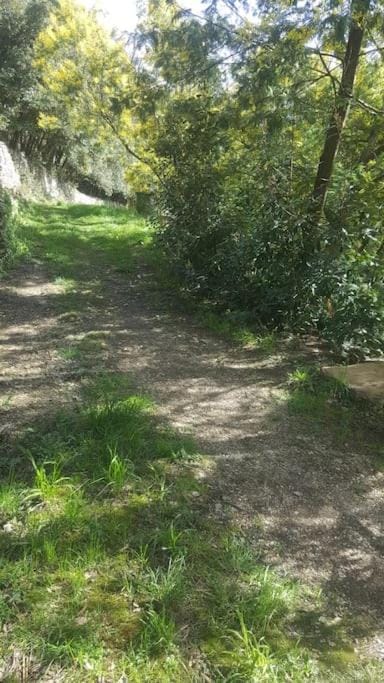 Garden, Hiking