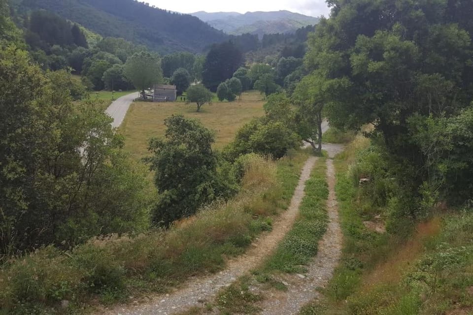Natural landscape