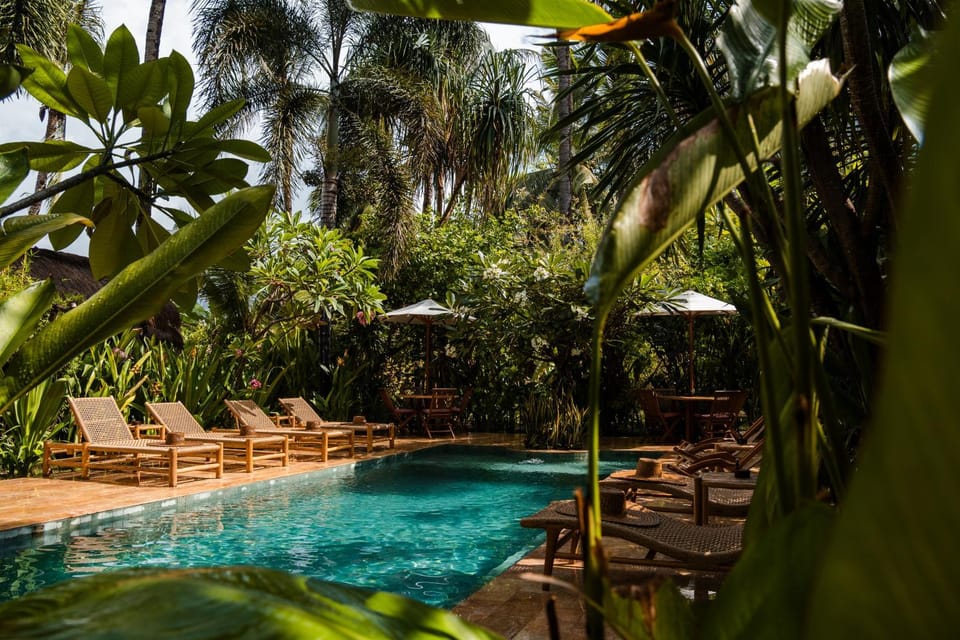 Spring, Day, Natural landscape, Garden, Garden view, Pool view, Swimming pool, sunbed