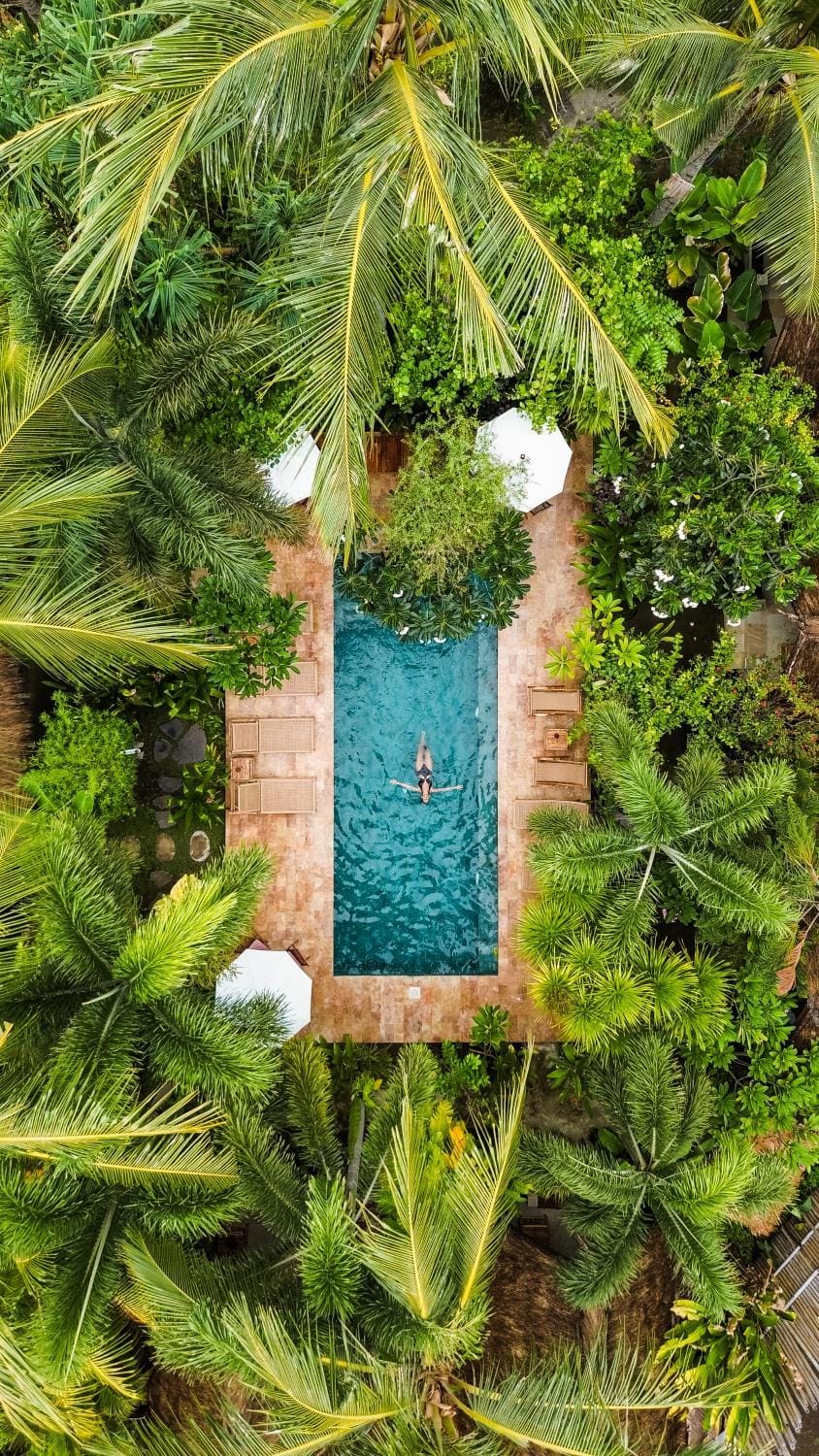 Garden, Garden view, Garden view, Swimming pool