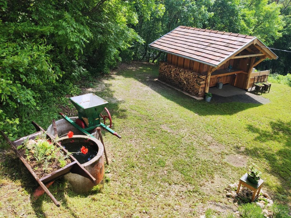 Day, Garden, Garden view