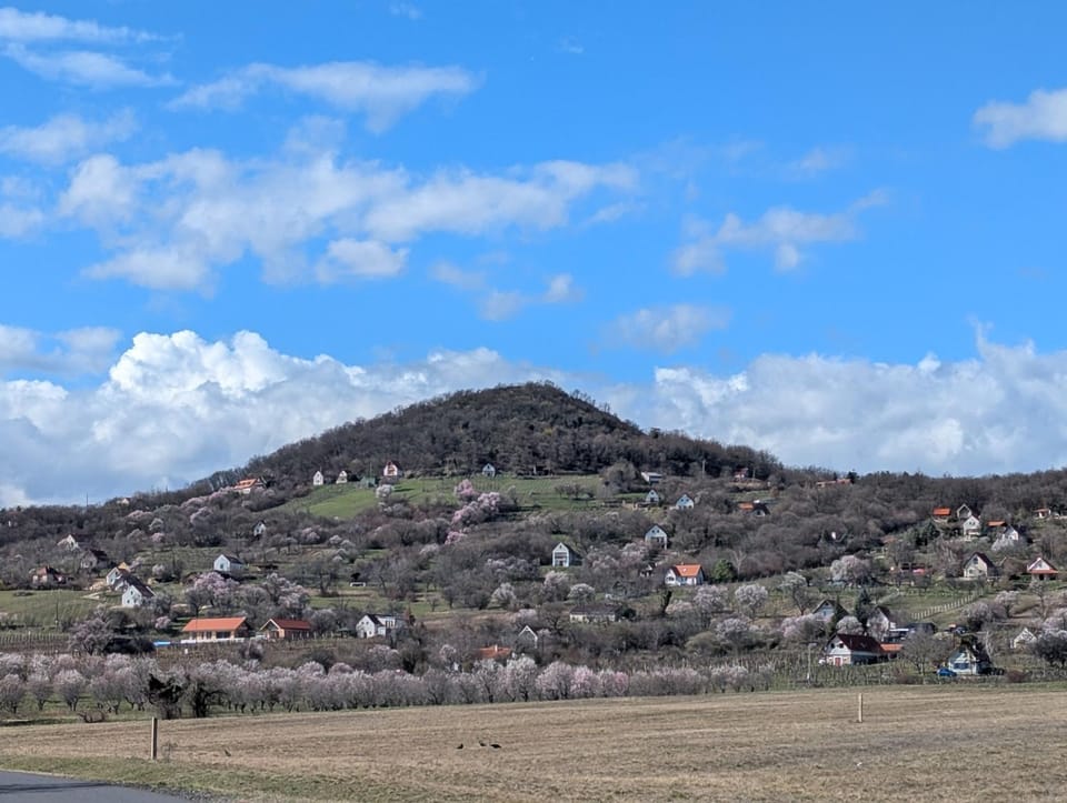 Spring, Natural landscape, Mountain view