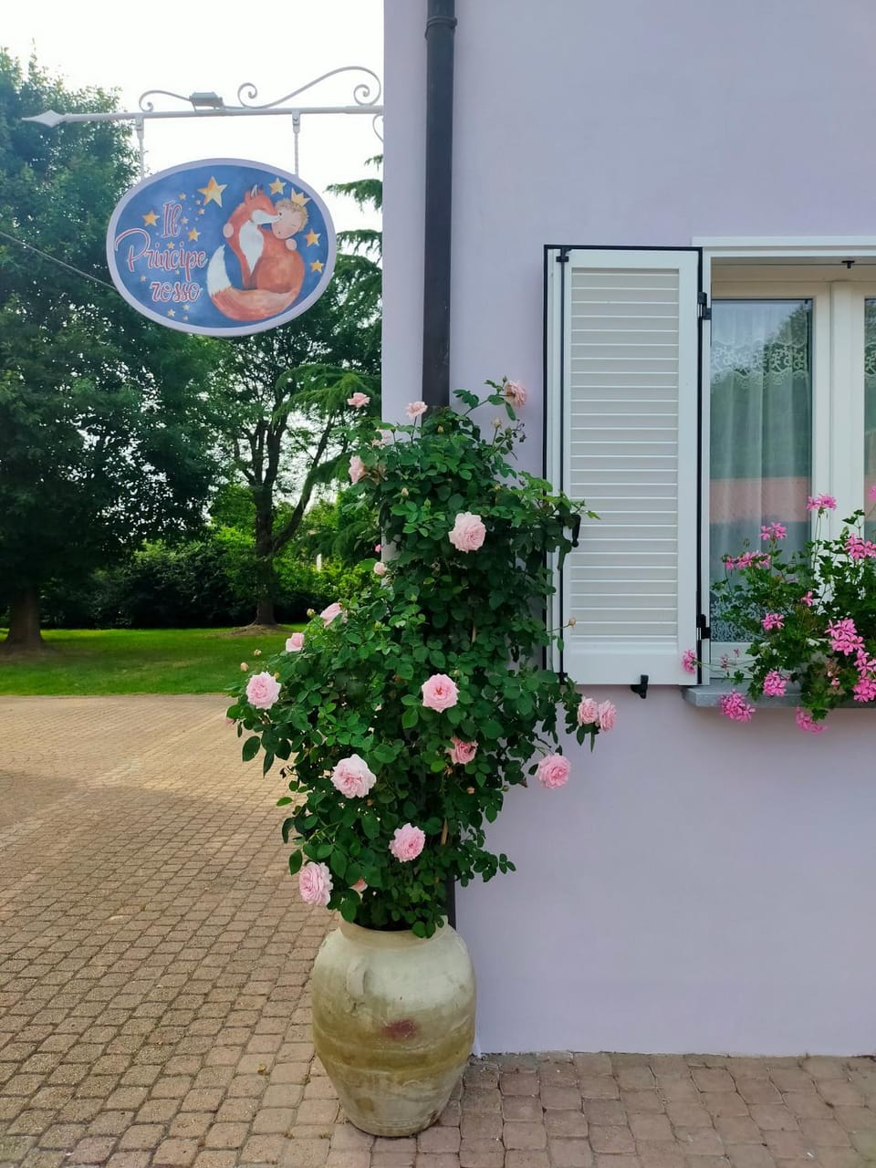 Garden view