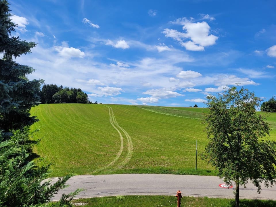 Haus Panoramablick - Fewo Storchennest, Höchenschwand Apartment in Baden-Württemberg