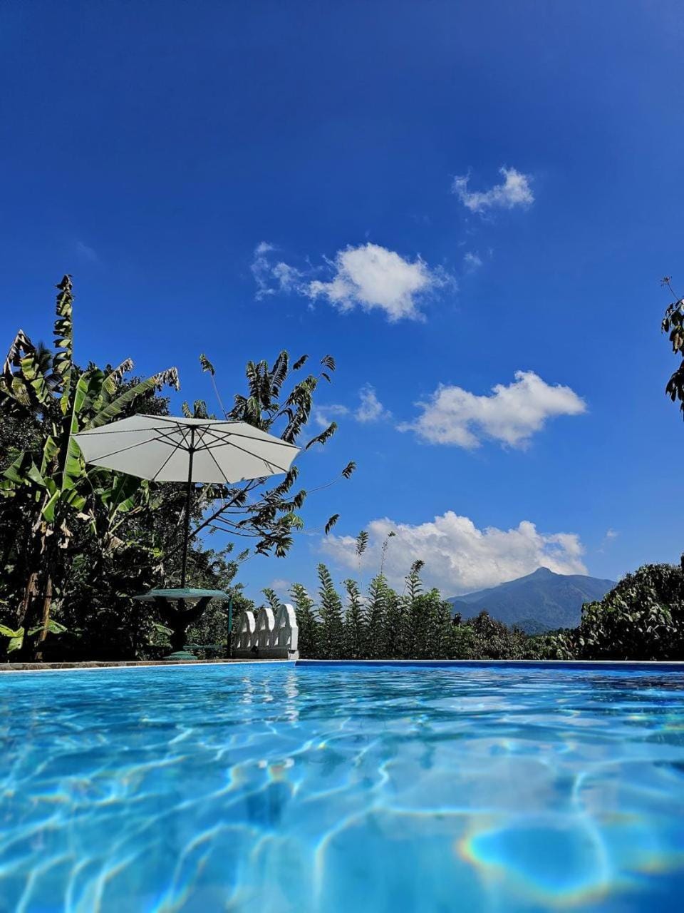 Pool view