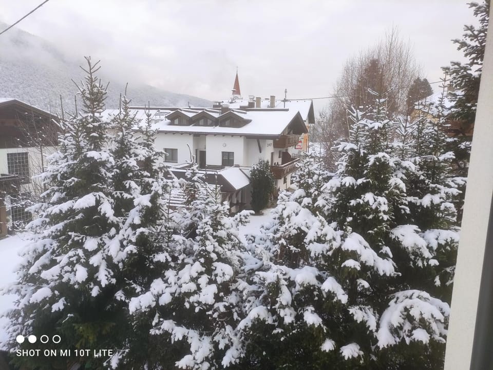 Natural landscape, Winter