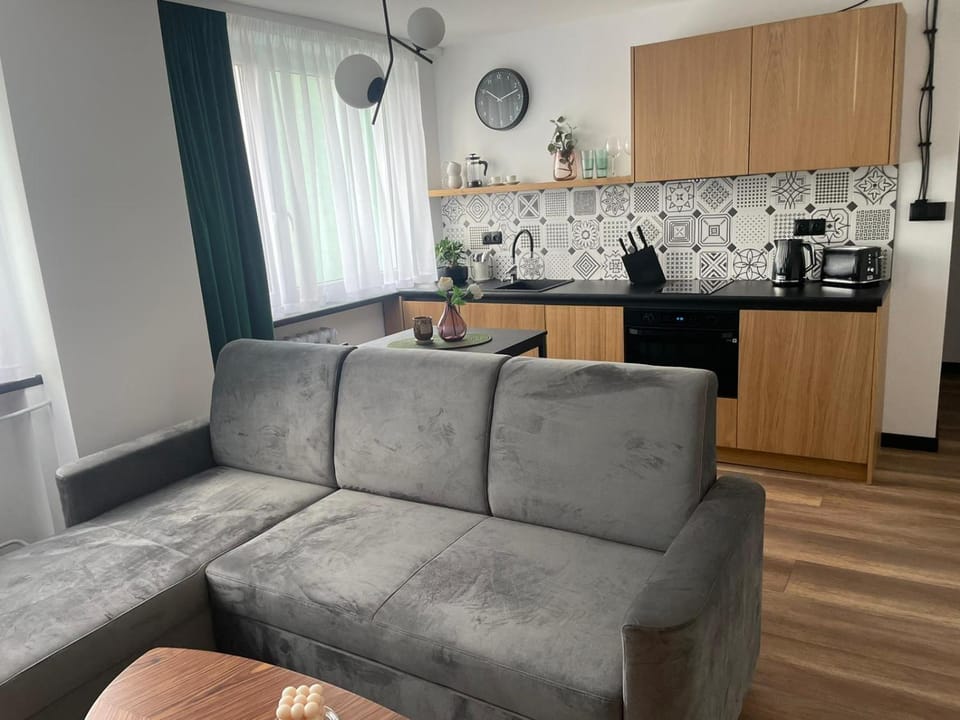 Apartamenty Nadrzeczna 14 Apartment in Lower Silesian Voivodeship