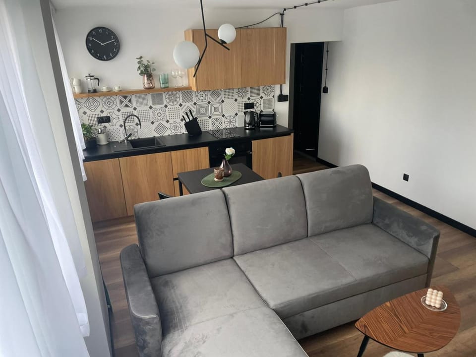 Apartamenty Nadrzeczna 14 Apartment in Lower Silesian Voivodeship