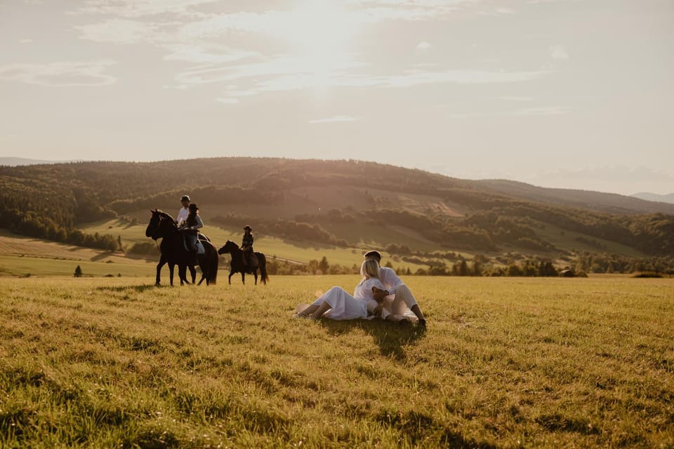 Day, People, Horse-riding, Animals, children