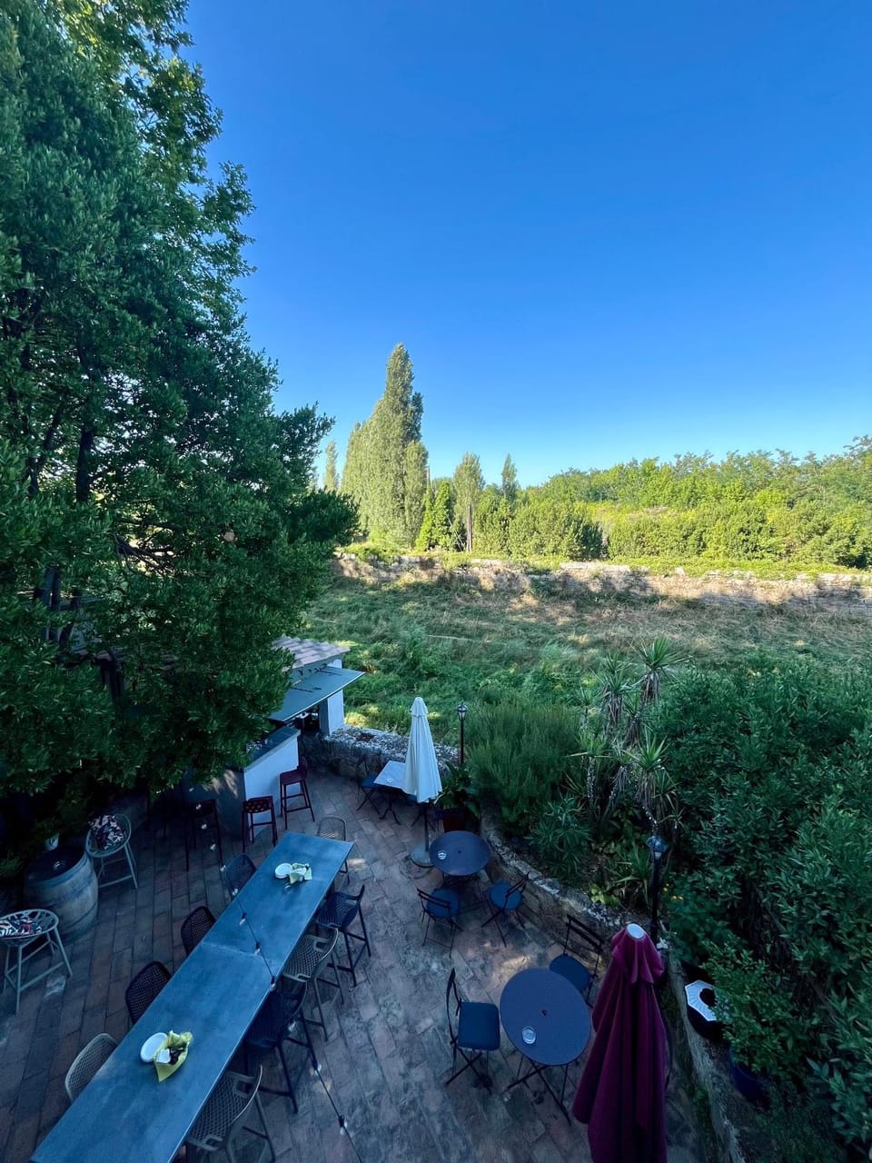 Garden view