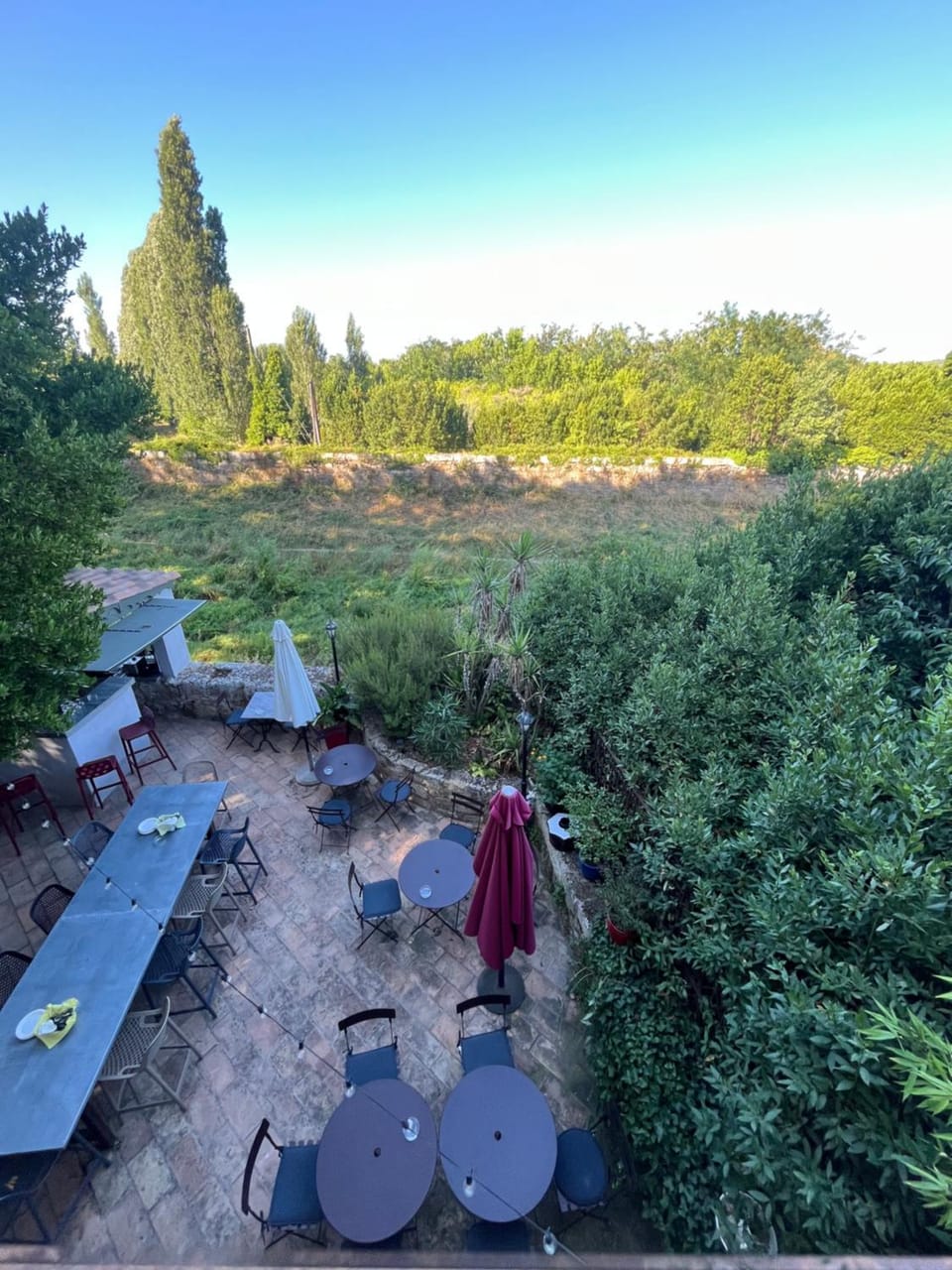 Garden view