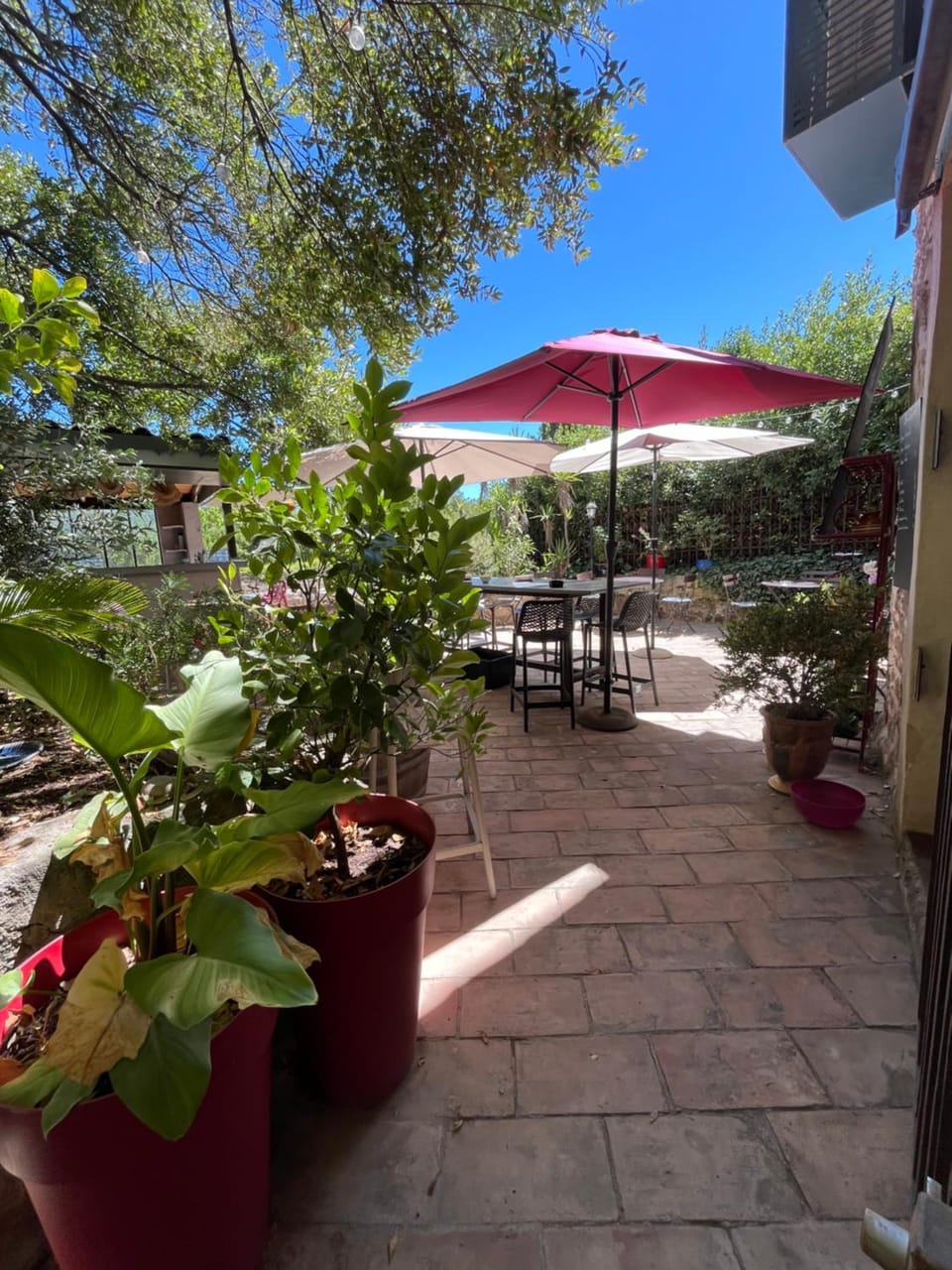 Garden, Balcony/Terrace