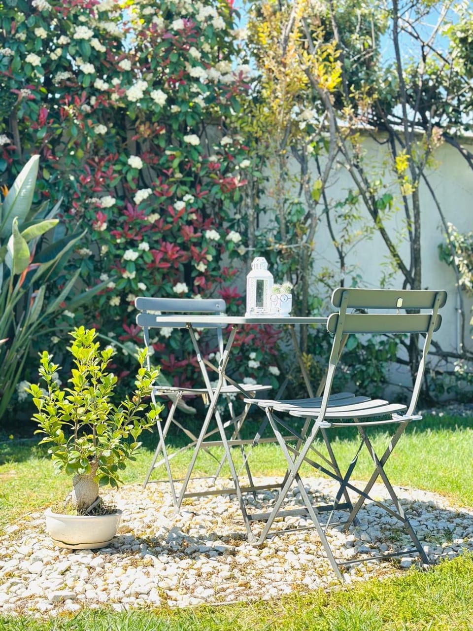 Day, Garden, Garden view