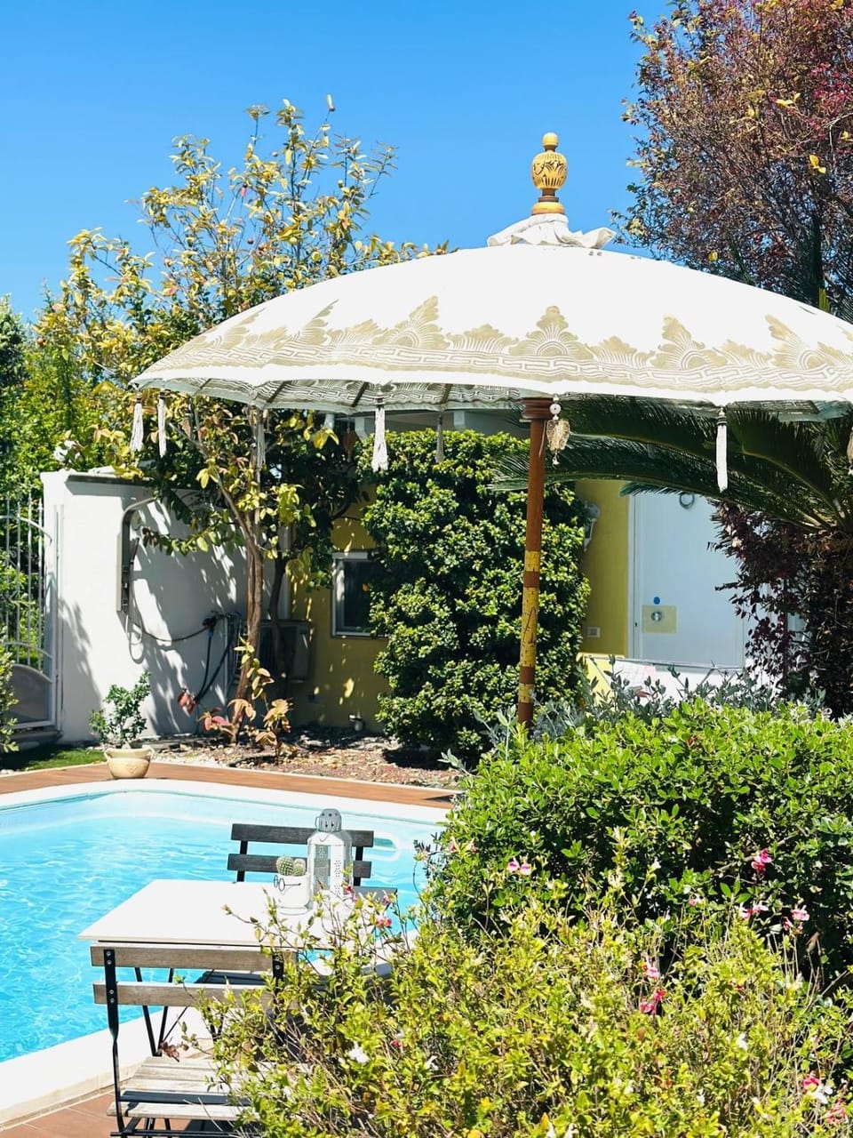 Day, Garden view, Pool view, Swimming pool