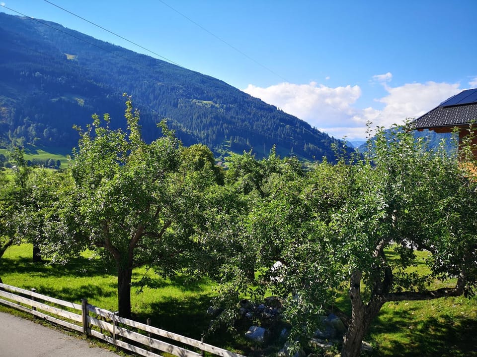 Natural landscape, Balcony/Terrace, Hiking, Mountain view