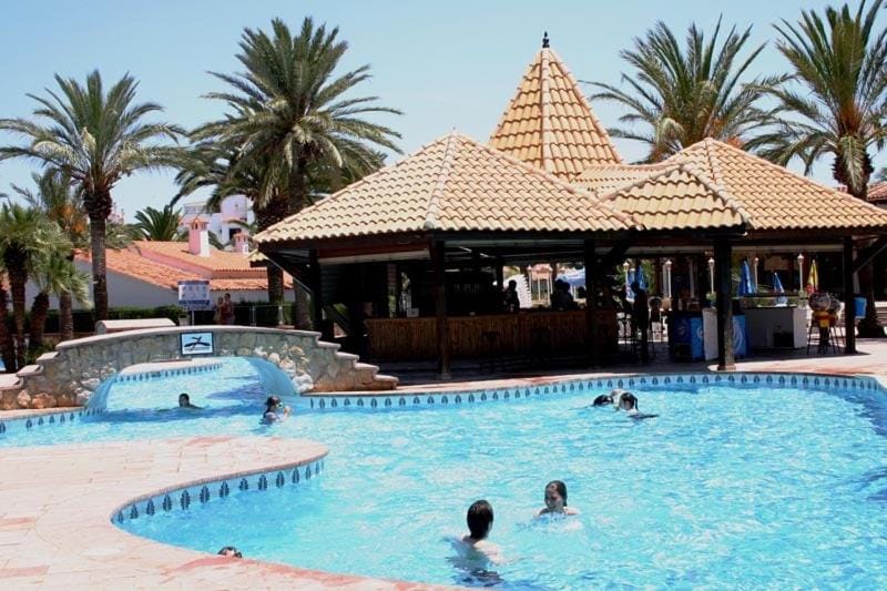 Day, Swimming pool, group of guests