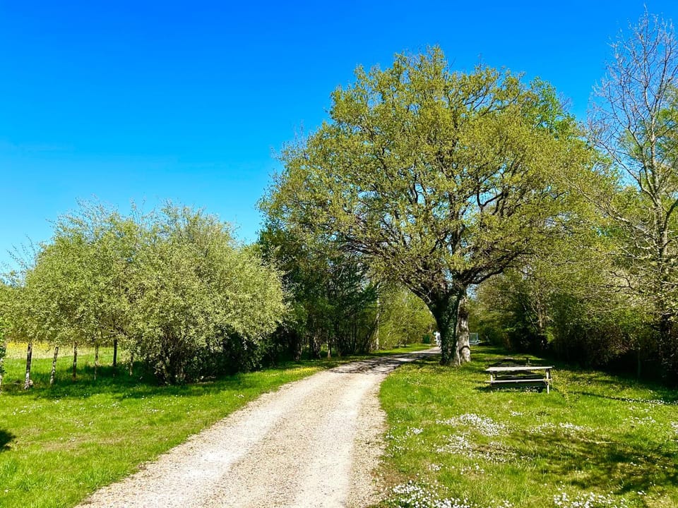 Ferme de Marpalu Bed and Breakfast in Centre-Val de Loire