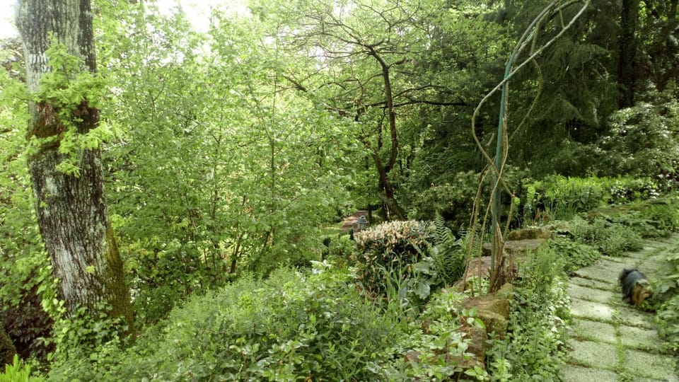 Natural landscape