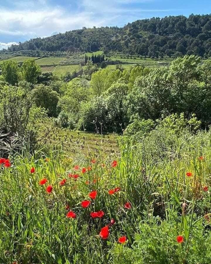 Natural landscape