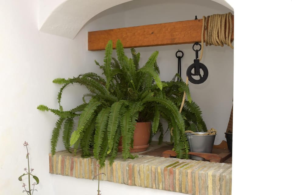 Casa Arbonaida Apartment in Vejer de la Frontera